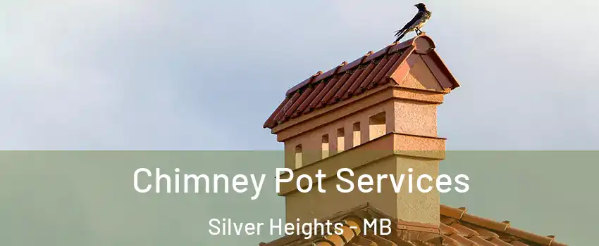  Chimney Pot Services Silver Heights - MB