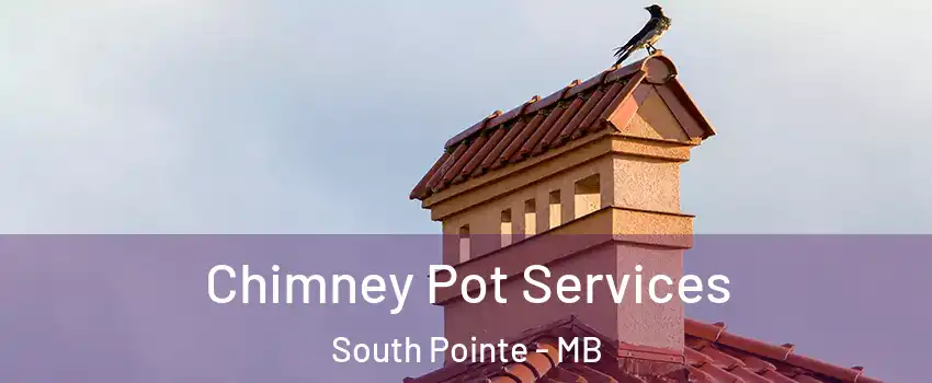  Chimney Pot Services South Pointe - MB