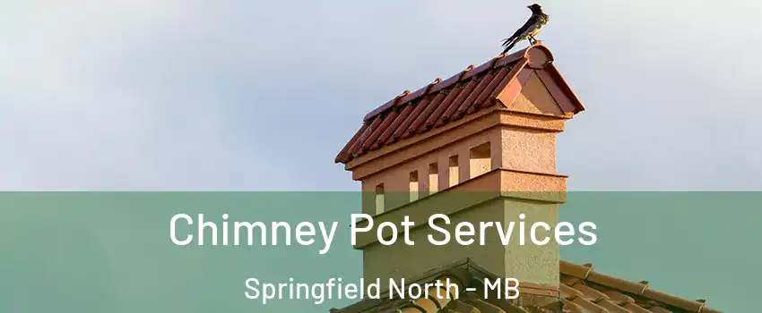  Chimney Pot Services Springfield North - MB