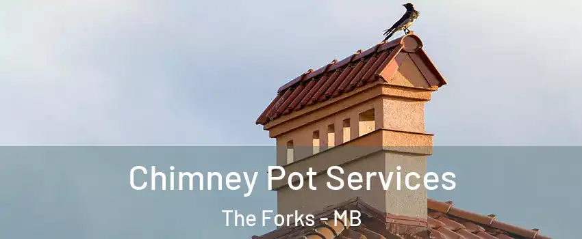  Chimney Pot Services The Forks - MB