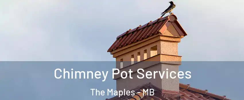  Chimney Pot Services The Maples - MB