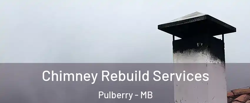  Chimney Rebuild Services Pulberry - MB