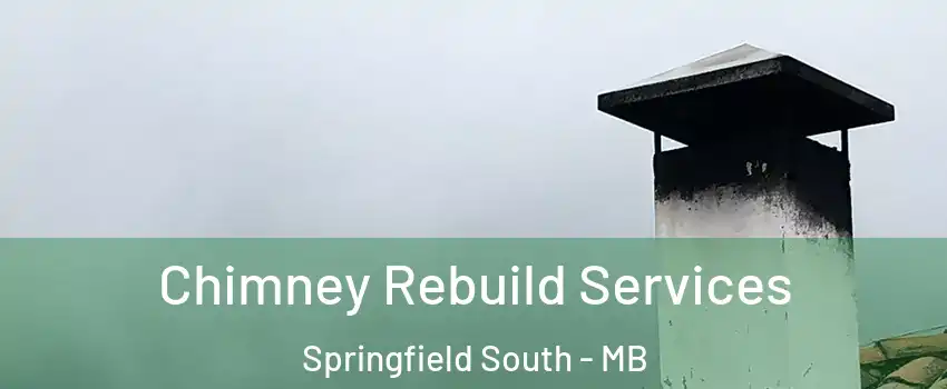  Chimney Rebuild Services Springfield South - MB