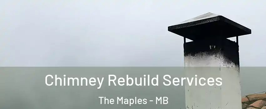  Chimney Rebuild Services The Maples - MB