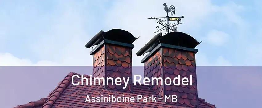  Chimney Remodel Assiniboine Park - MB