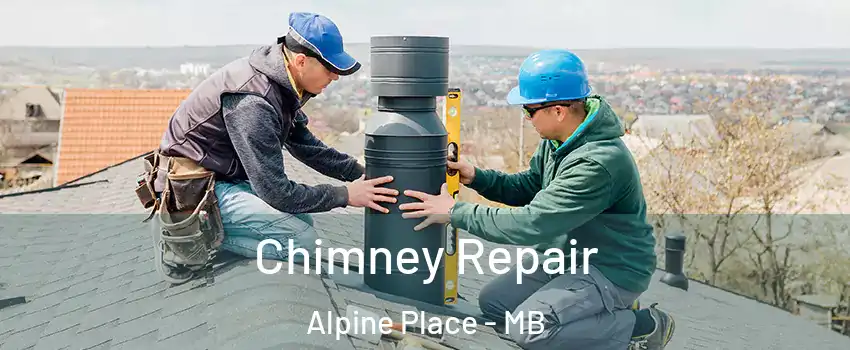  Chimney Repair Alpine Place - MB