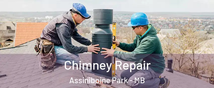  Chimney Repair Assiniboine Park - MB
