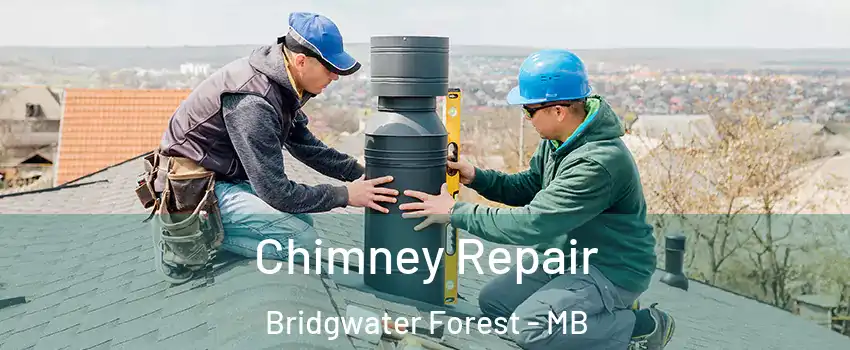  Chimney Repair Bridgwater Forest - MB