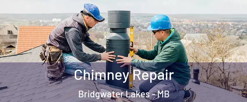  Chimney Repair Bridgwater Lakes - MB