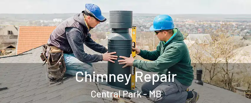  Chimney Repair Central Park - MB