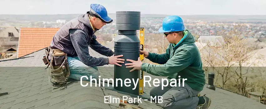  Chimney Repair Elm Park - MB