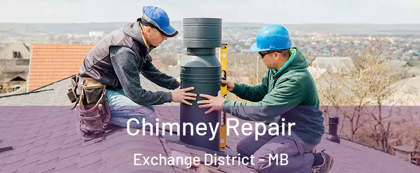  Chimney Repair Exchange District - MB