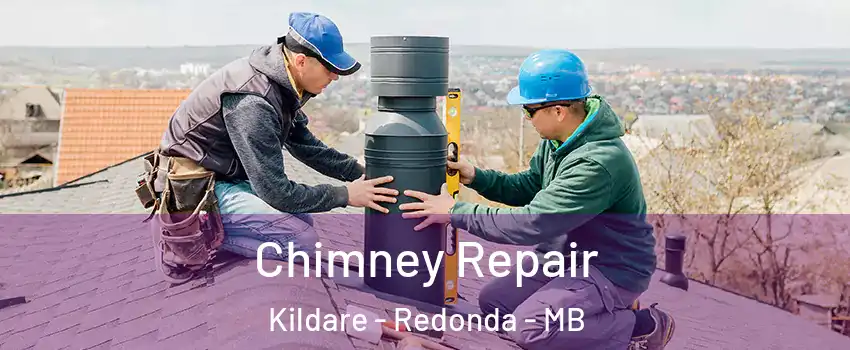  Chimney Repair Kildare - Redonda - MB