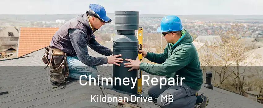  Chimney Repair Kildonan Drive - MB