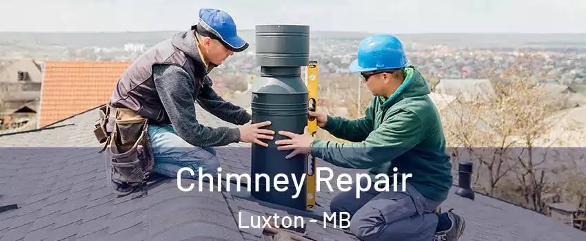  Chimney Repair Luxton - MB