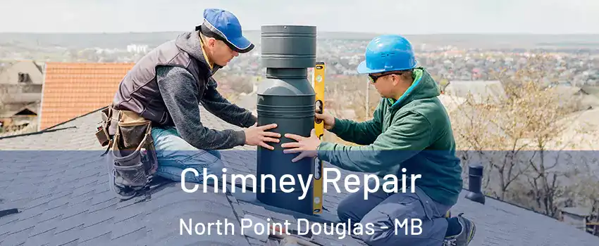  Chimney Repair North Point Douglas - MB