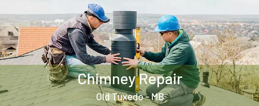  Chimney Repair Old Tuxedo - MB