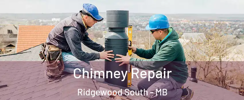  Chimney Repair Ridgewood South - MB