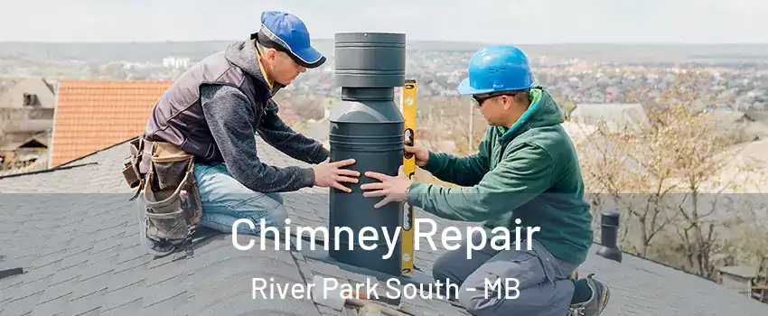  Chimney Repair River Park South - MB