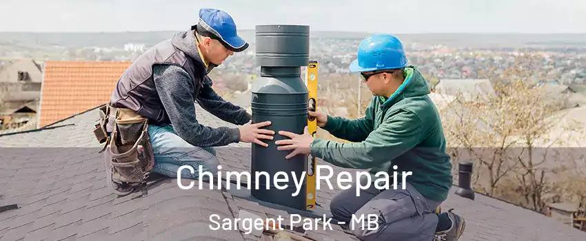  Chimney Repair Sargent Park - MB