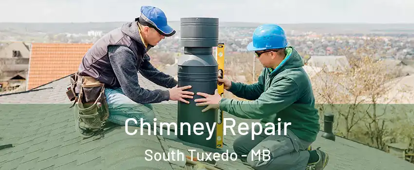  Chimney Repair South Tuxedo - MB