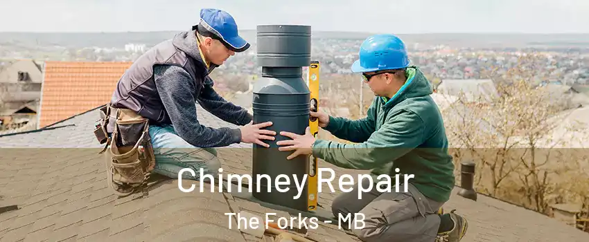  Chimney Repair The Forks - MB