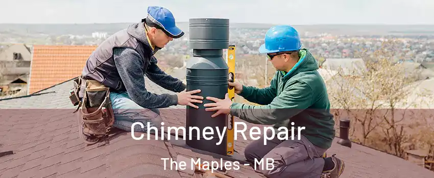  Chimney Repair The Maples - MB