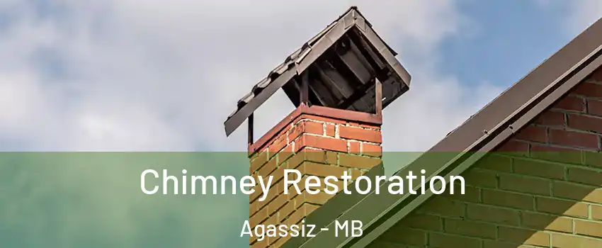  Chimney Restoration Agassiz - MB