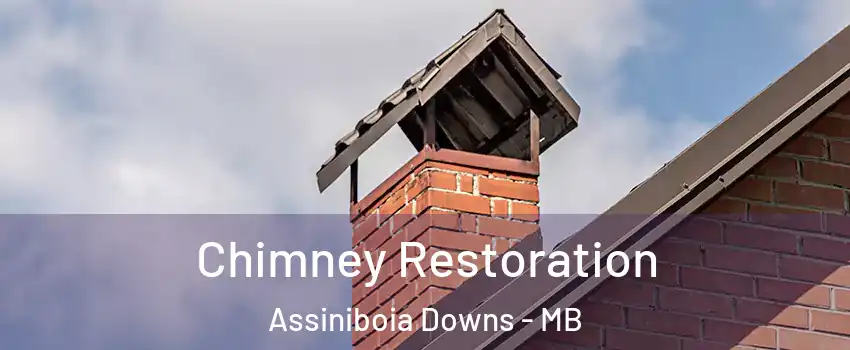  Chimney Restoration Assiniboia Downs - MB