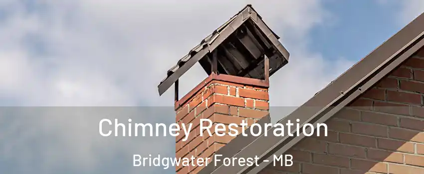  Chimney Restoration Bridgwater Forest - MB