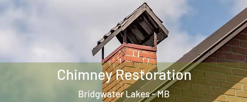  Chimney Restoration Bridgwater Lakes - MB