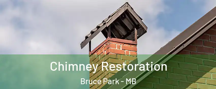  Chimney Restoration Bruce Park - MB