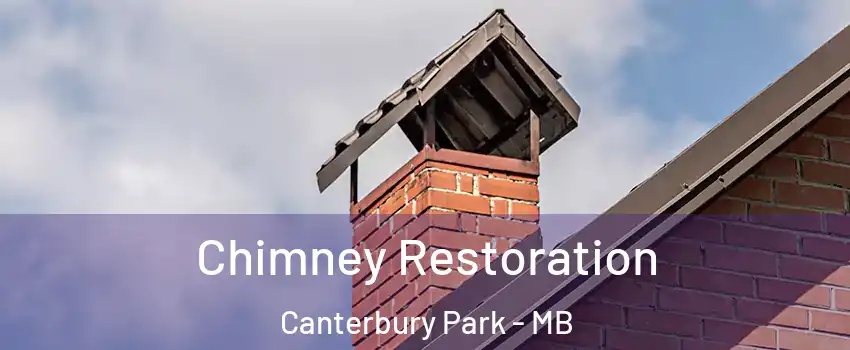  Chimney Restoration Canterbury Park - MB