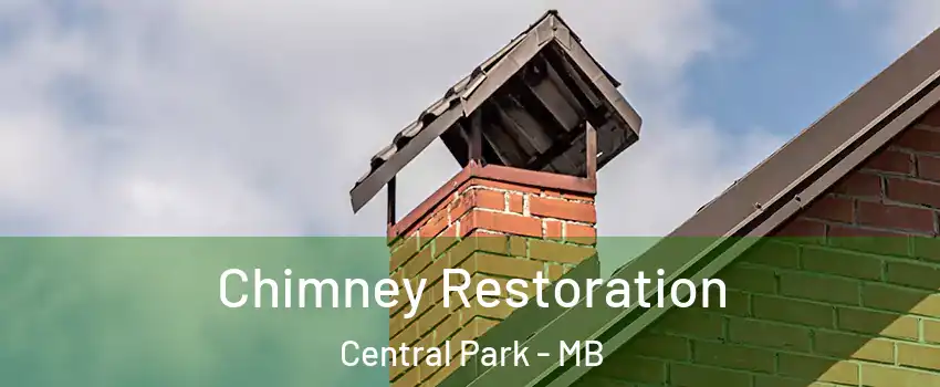  Chimney Restoration Central Park - MB