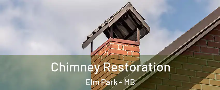  Chimney Restoration Elm Park - MB