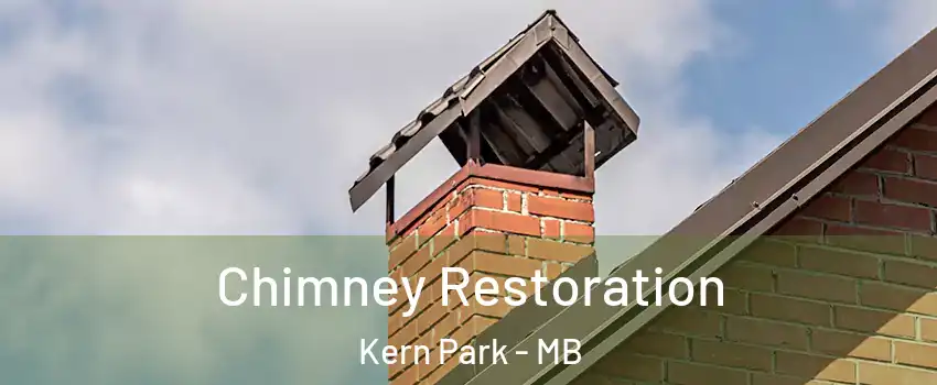  Chimney Restoration Kern Park - MB