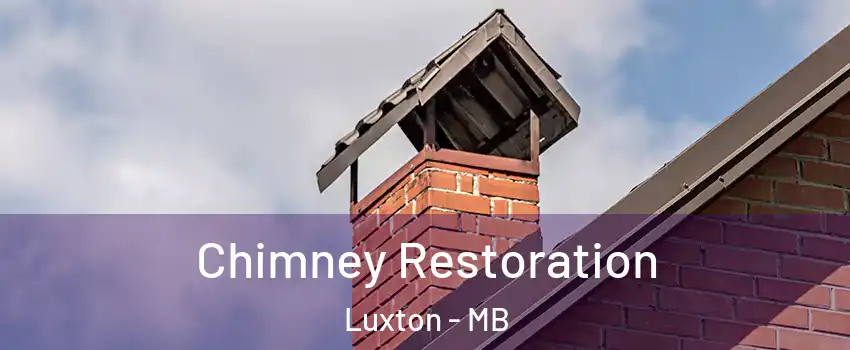  Chimney Restoration Luxton - MB