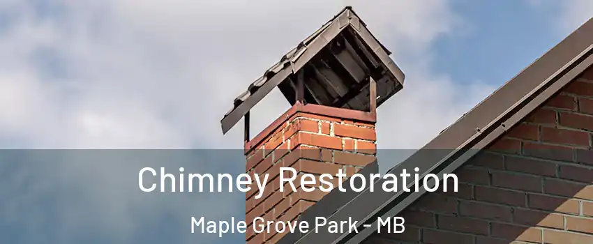  Chimney Restoration Maple Grove Park - MB