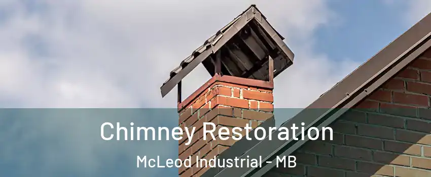 Chimney Restoration McLeod Industrial - MB