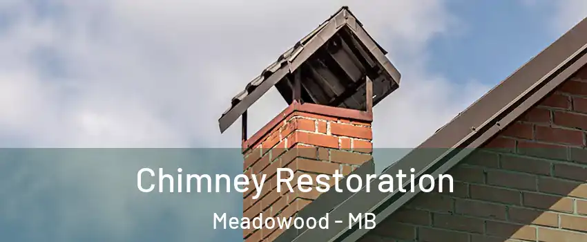  Chimney Restoration Meadowood - MB