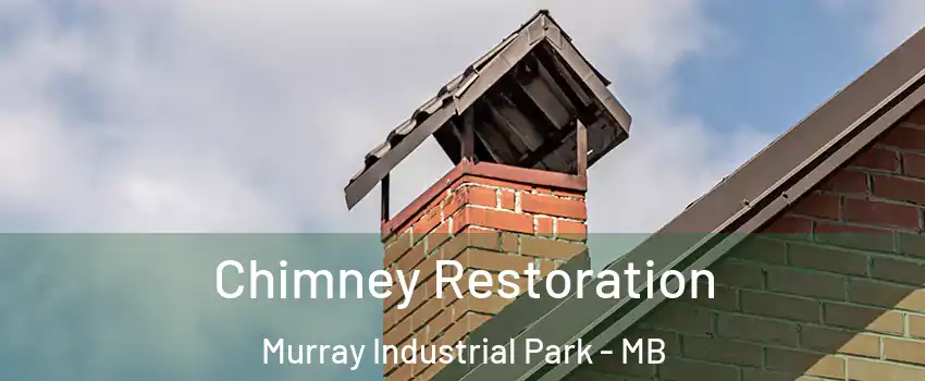  Chimney Restoration Murray Industrial Park - MB
