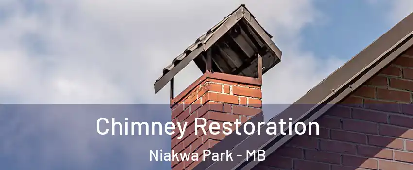  Chimney Restoration Niakwa Park - MB