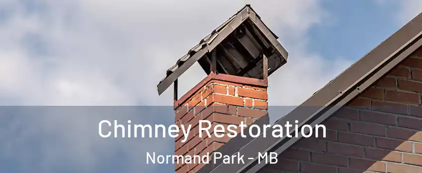  Chimney Restoration Normand Park - MB