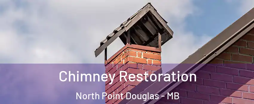  Chimney Restoration North Point Douglas - MB