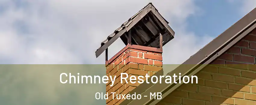  Chimney Restoration Old Tuxedo - MB