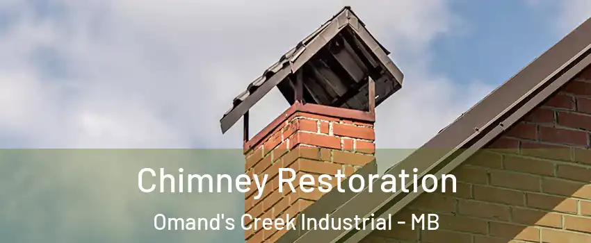  Chimney Restoration Omand's Creek Industrial - MB