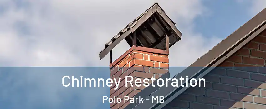  Chimney Restoration Polo Park - MB