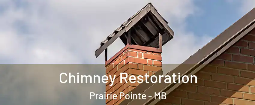  Chimney Restoration Prairie Pointe - MB