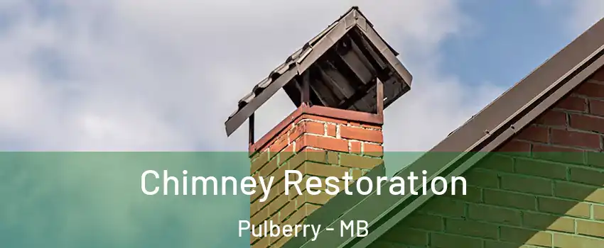  Chimney Restoration Pulberry - MB