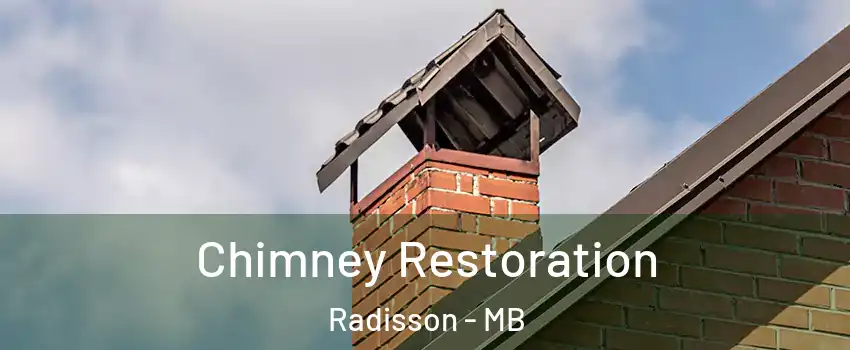  Chimney Restoration Radisson - MB